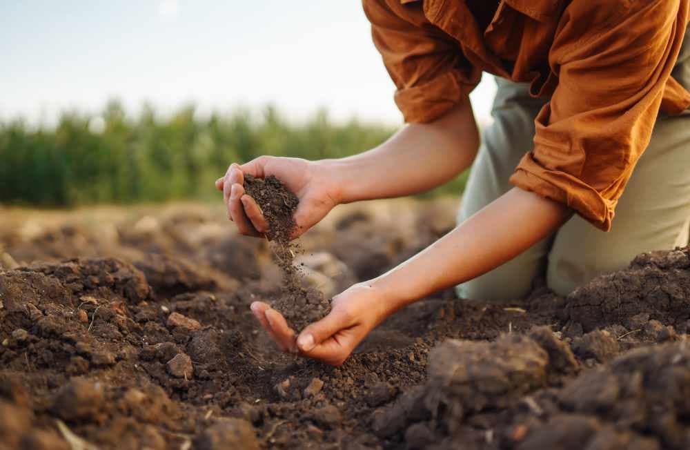 Farmer sifting out soil with her hands